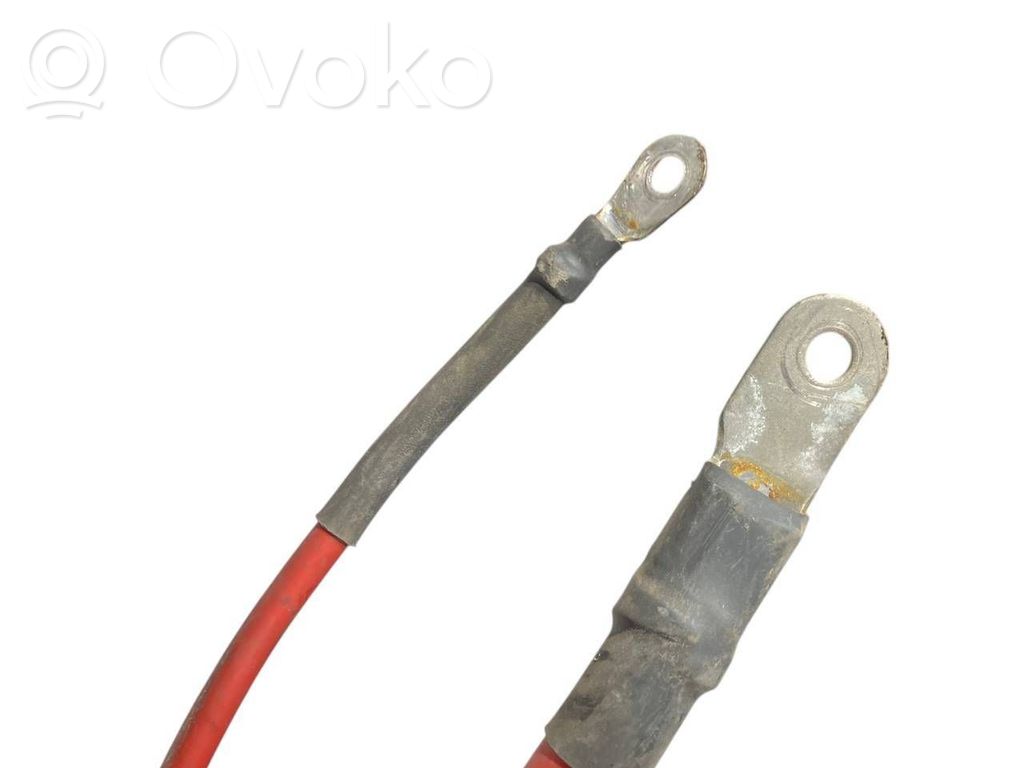 Plusa vads (akumulatora)