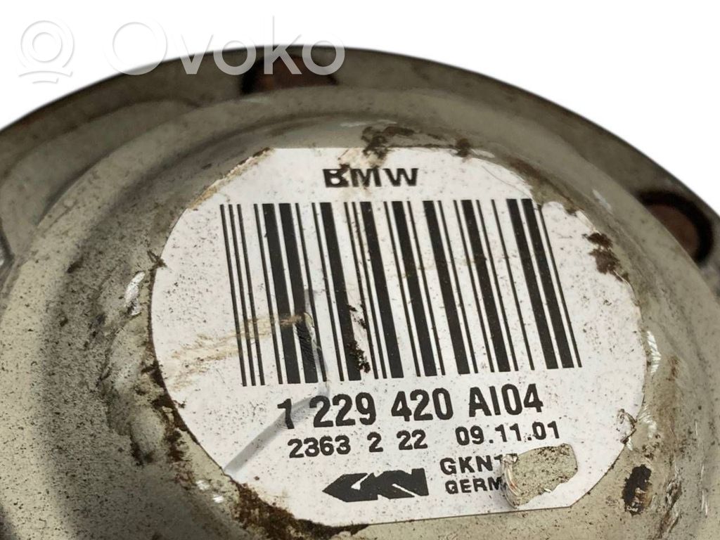 Aizmugurējā pusass