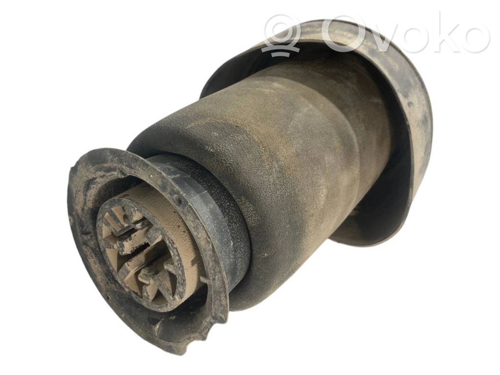 Aizmugurē gaisa spilvens