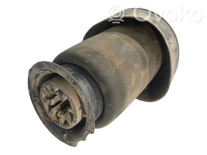 Aizmugurē gaisa spilvens