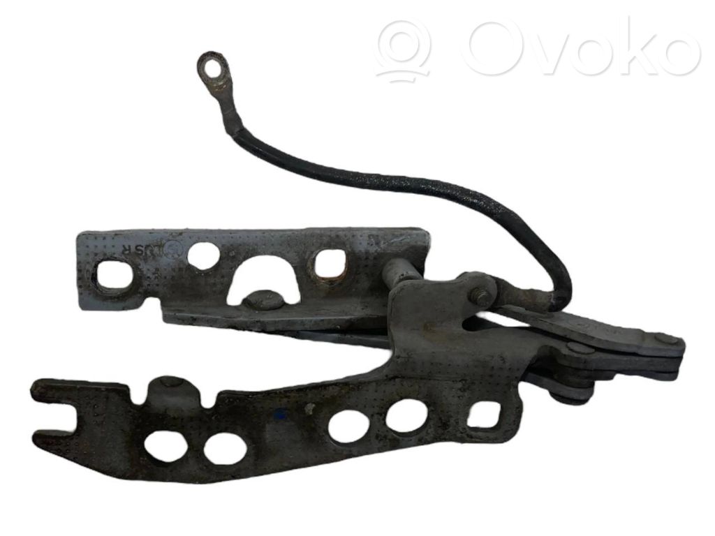 Петли капота двигателя