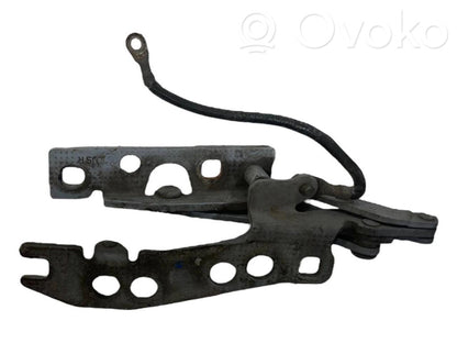 Петли капота двигателя