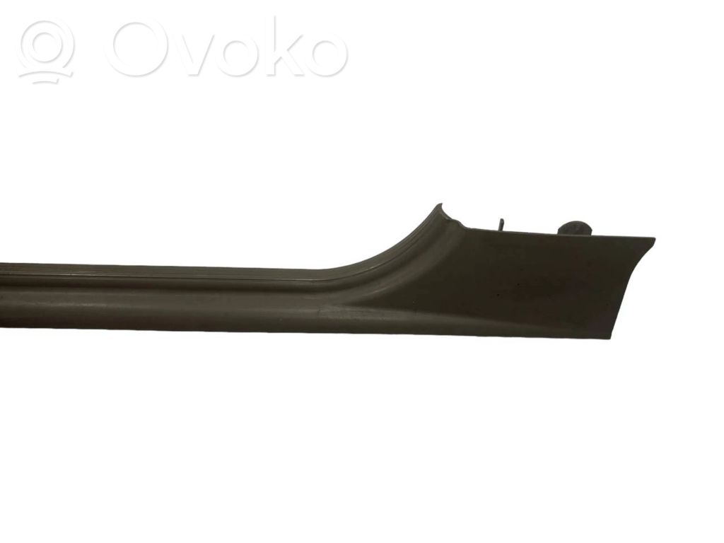 Front sill trim (inner)