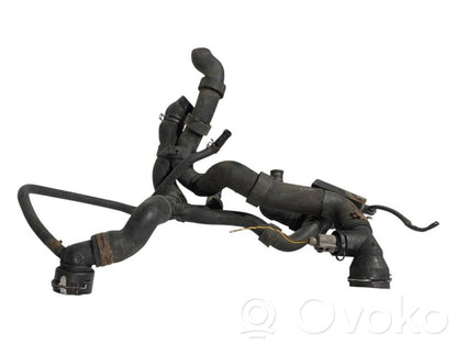 Caurulīte (-es) / šļūtene (-es)