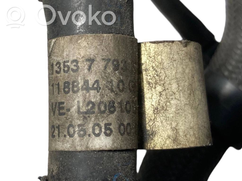 Caurule (-es) / šļūtene (-es)