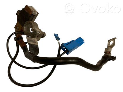 Mīnusa vads (akumulatora)