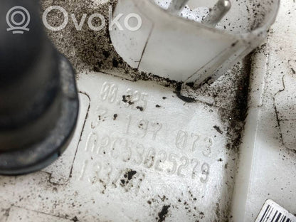 Fuel pump (in the fuel tank)