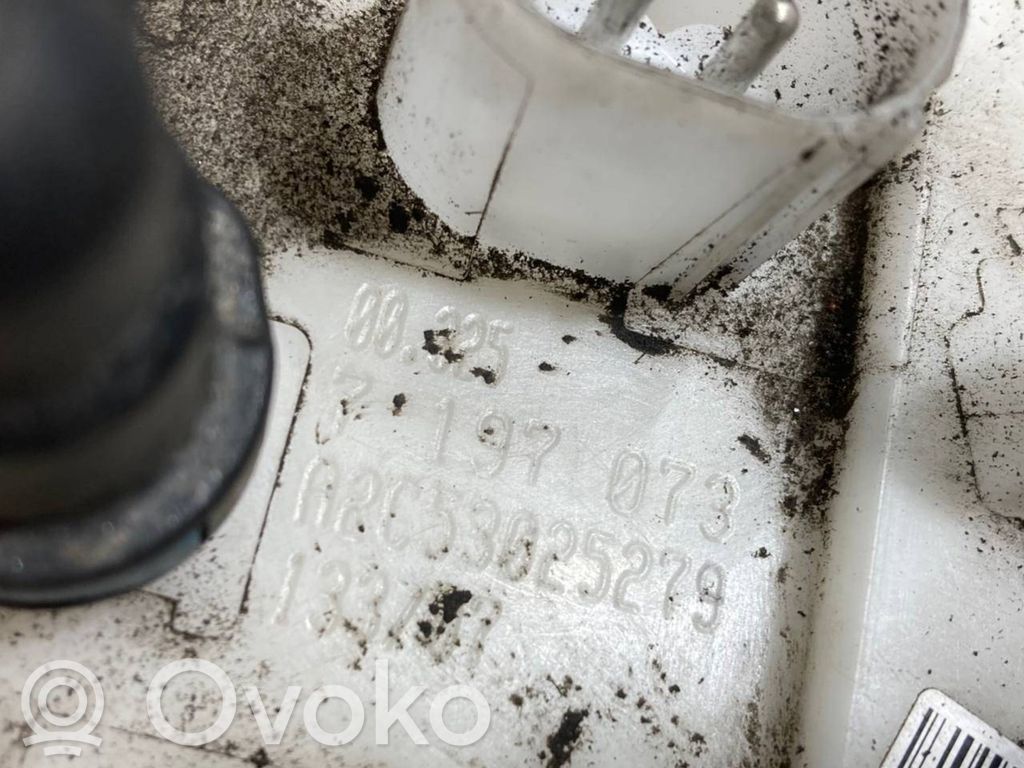 Fuel pump (in the fuel tank)