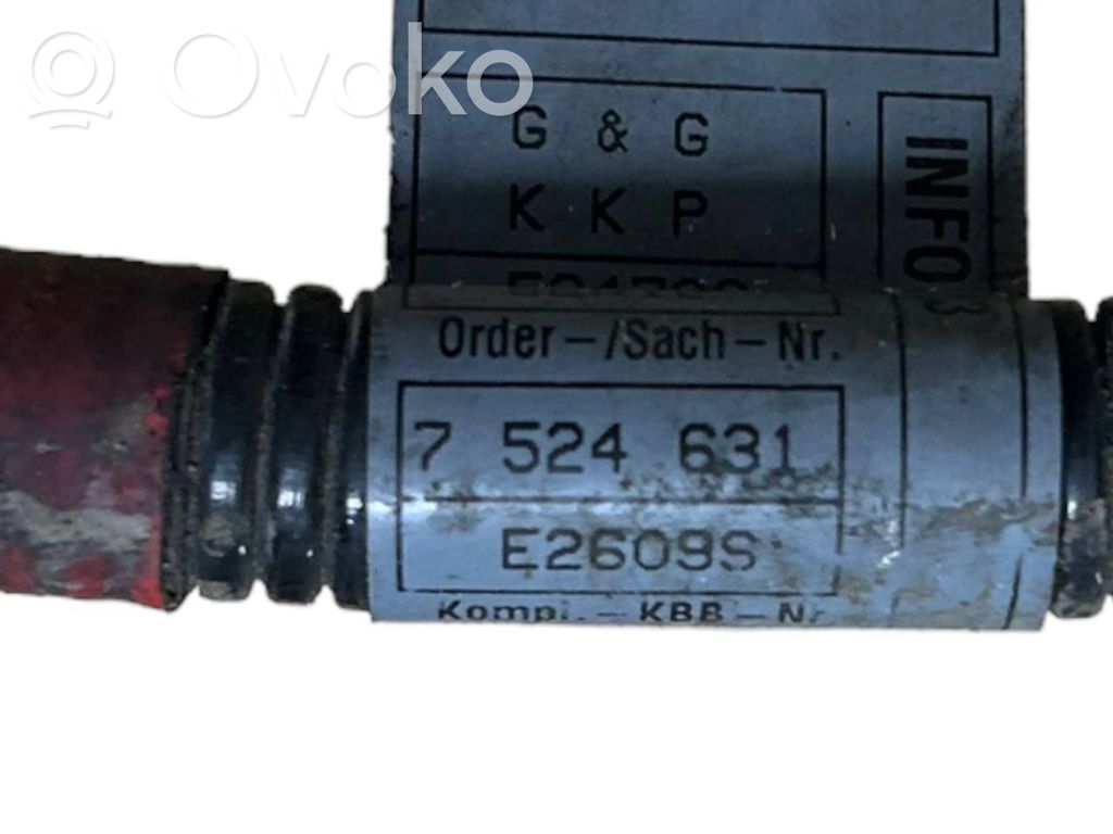 Positive wire (battery)