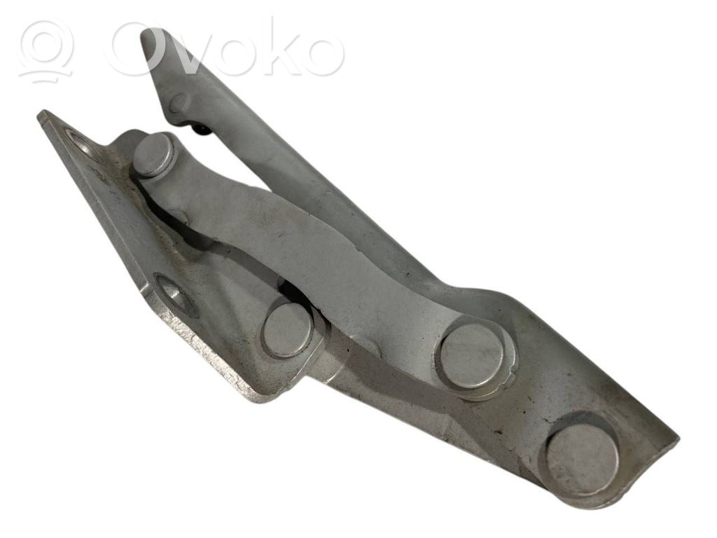 Петли капота двигателя