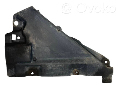 Dzinēja apakšas aizsargs (priekšdaļā)