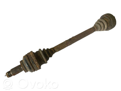 Aizmugurējā pusass