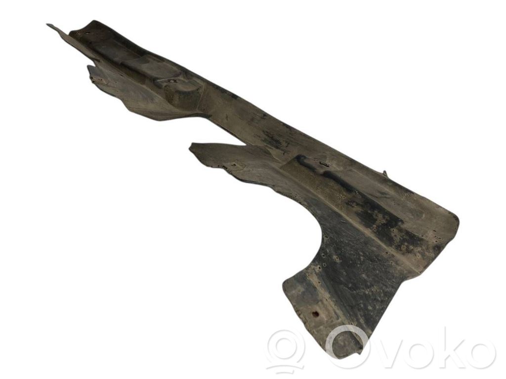 Dzinēja apakšas aizsargs (priekšdaļā)