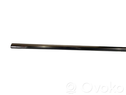 Aizmugurē durvju dekoratīvā apdare (moldings)