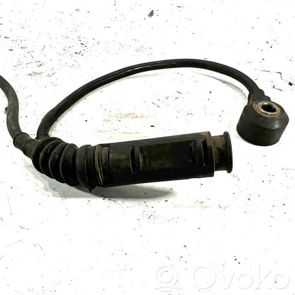 Knock sensor