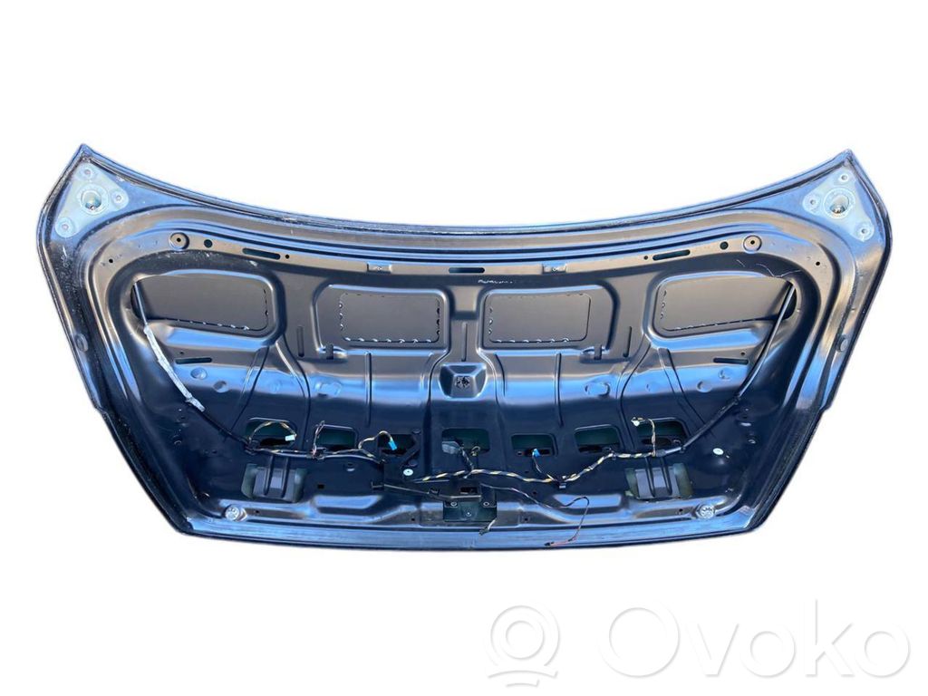 Aizmugurējais pārsegs (bagāžnieks)