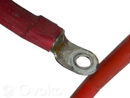 Plusa vads (akumulatora)