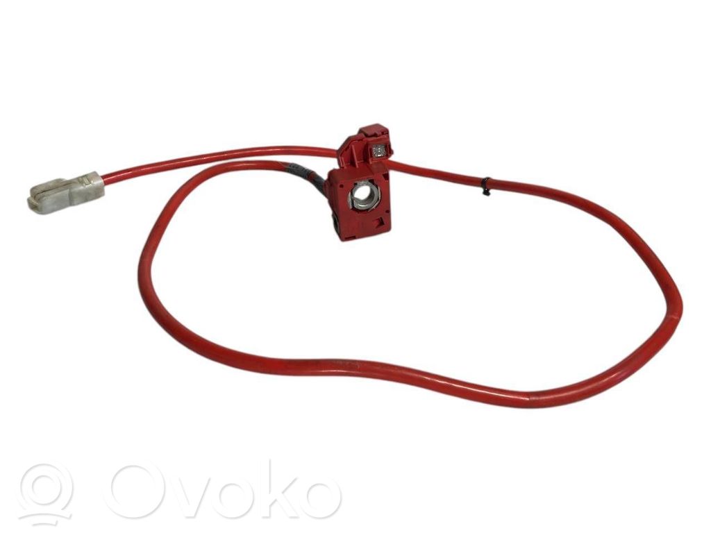 Plusa vads (akumulatora)