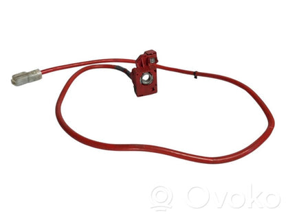 Positive wire (battery)