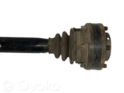 Aizmugurējā pusass