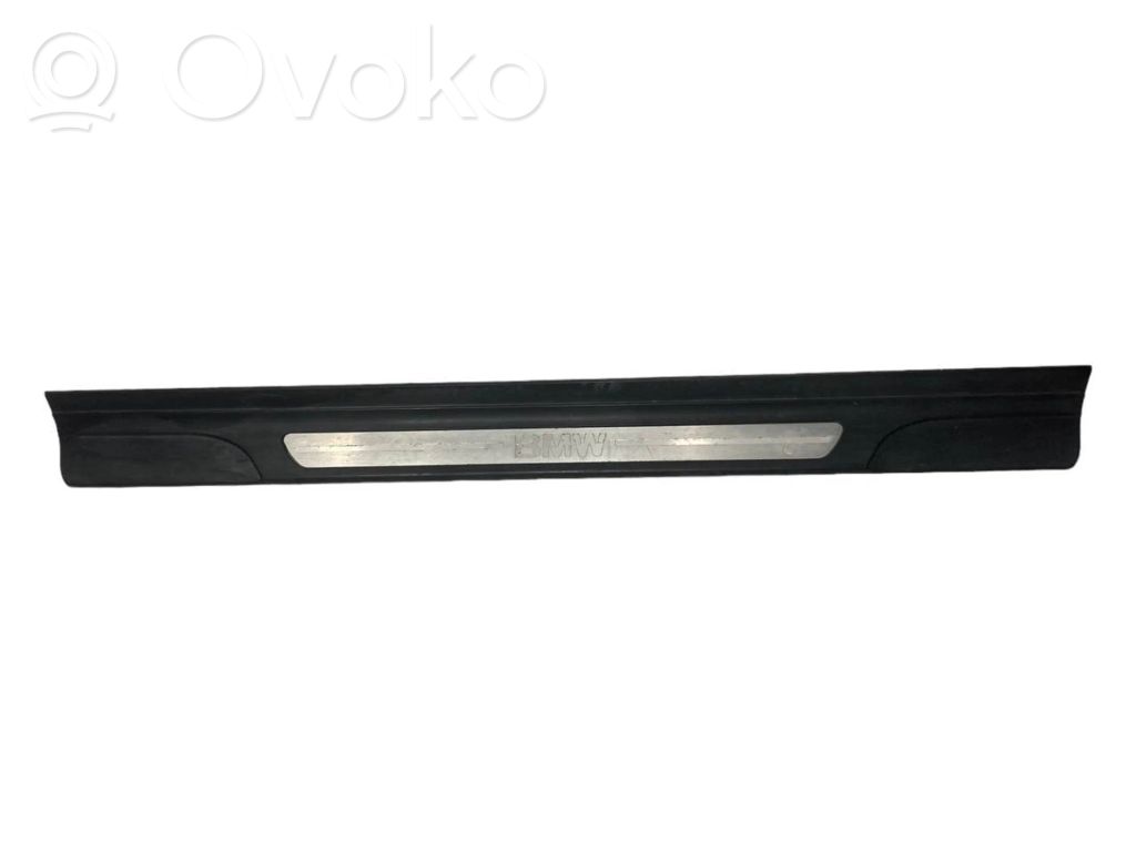 Front sill trim (inner)