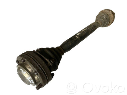 Aizmugurējā pusass