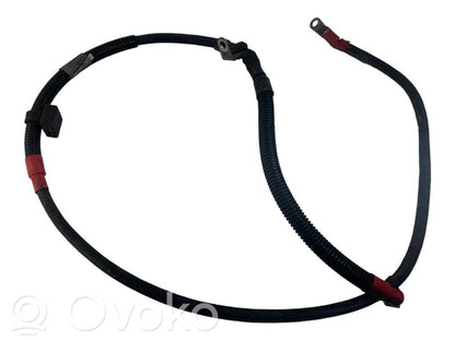 Plusa vads (akumulatora)