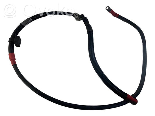 Plusa vads (akumulatora)