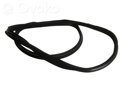 Front trim rubber (in the body)