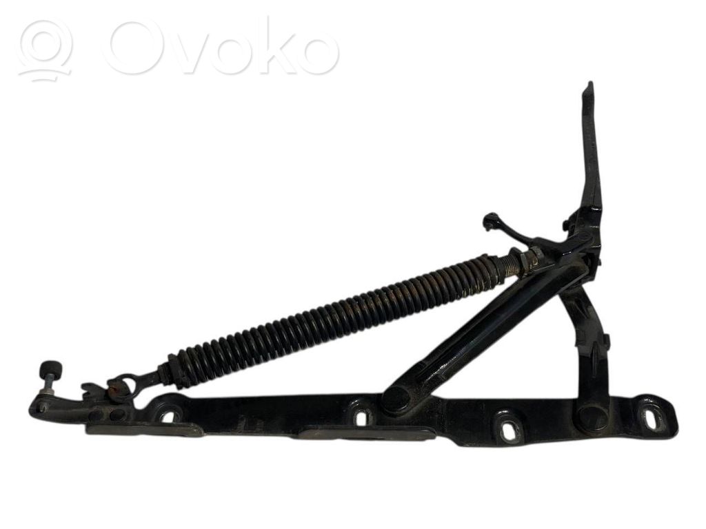 Aizmugurējā pārsega eņģe (-ess)