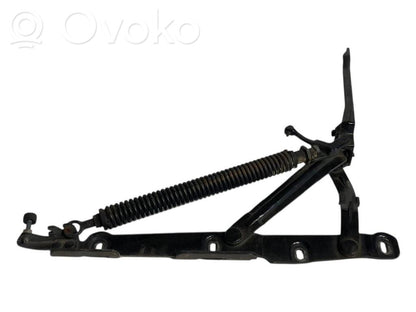 Aizmugurējā pārsega eņģe (-ess)