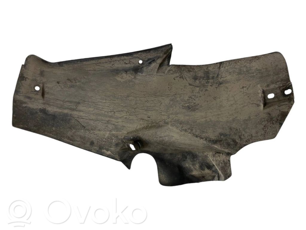 Aizmugurējais apakšspārns