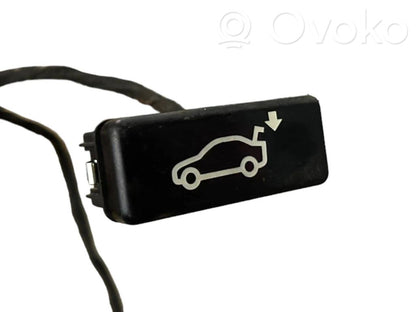 Bagāžnieka dekoratīvā apdare