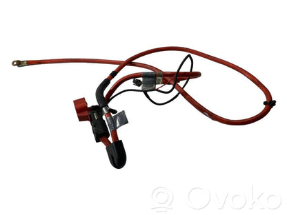 Plusa vads (akumulatora)