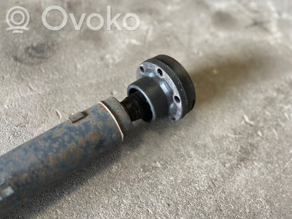 Aizmugurējais kardāns