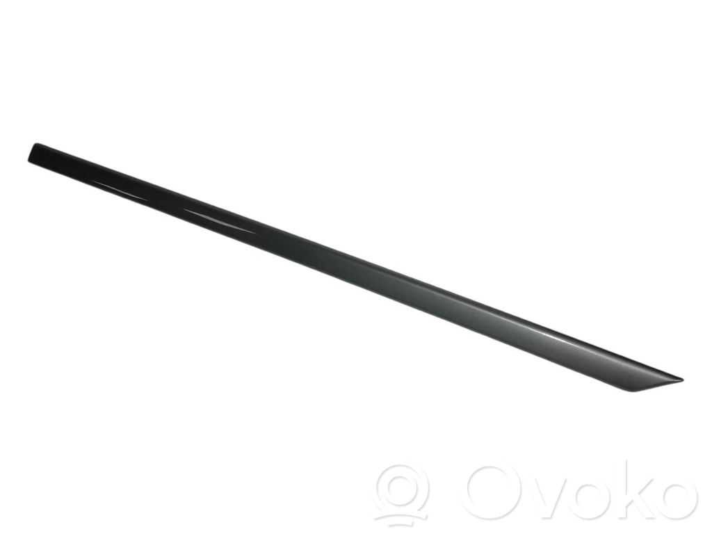 Aizmugurē durvju dekoratīvā apdare (moldings)