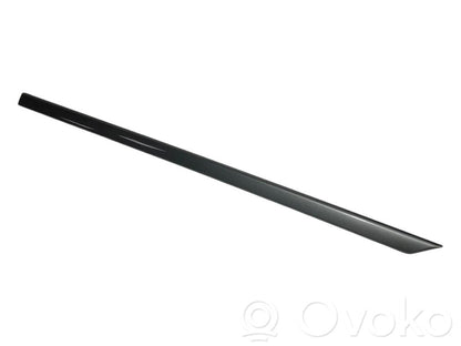 Aizmugurē durvju dekoratīvā apdare (moldings)