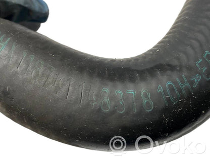 Caurulīte (-es) / šļūtene (-es)