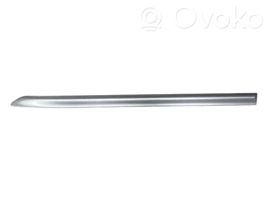 Aizmugurējā spārna uzlika / moldings