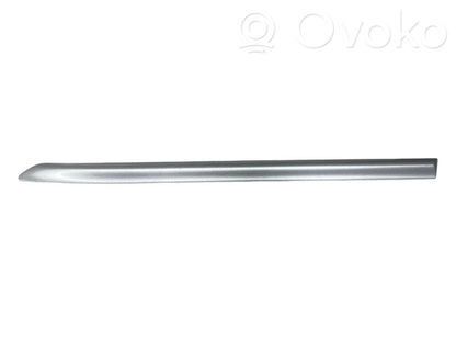 Aizmugurējā spārna uzlika / moldings