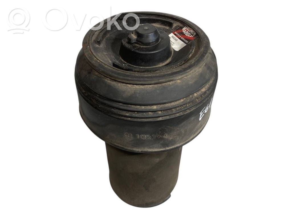 Aizmugurē gaisa spilvens