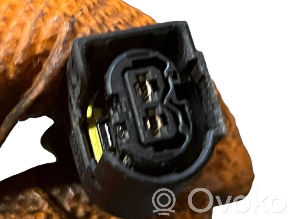 Engine wiring harness