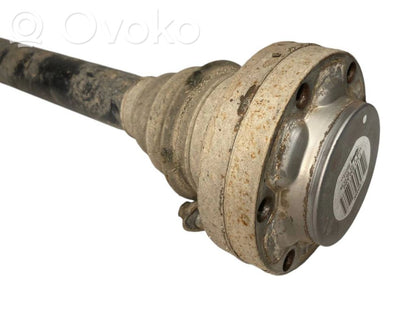 Aizmugurējā pusass