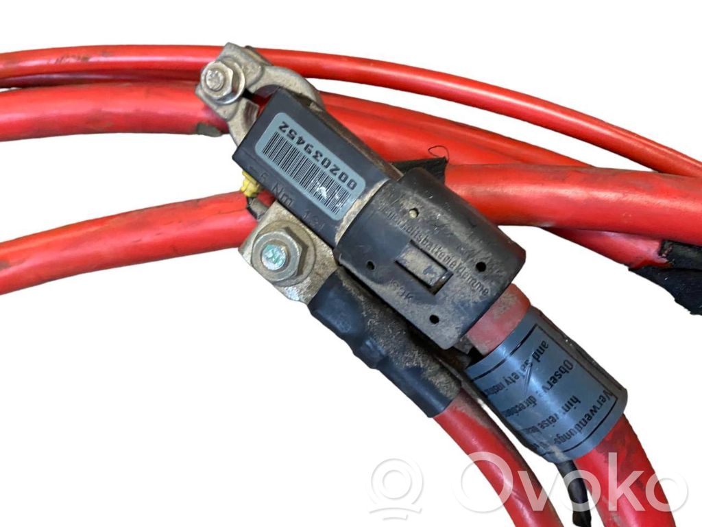 Plusa vads (akumulatora)