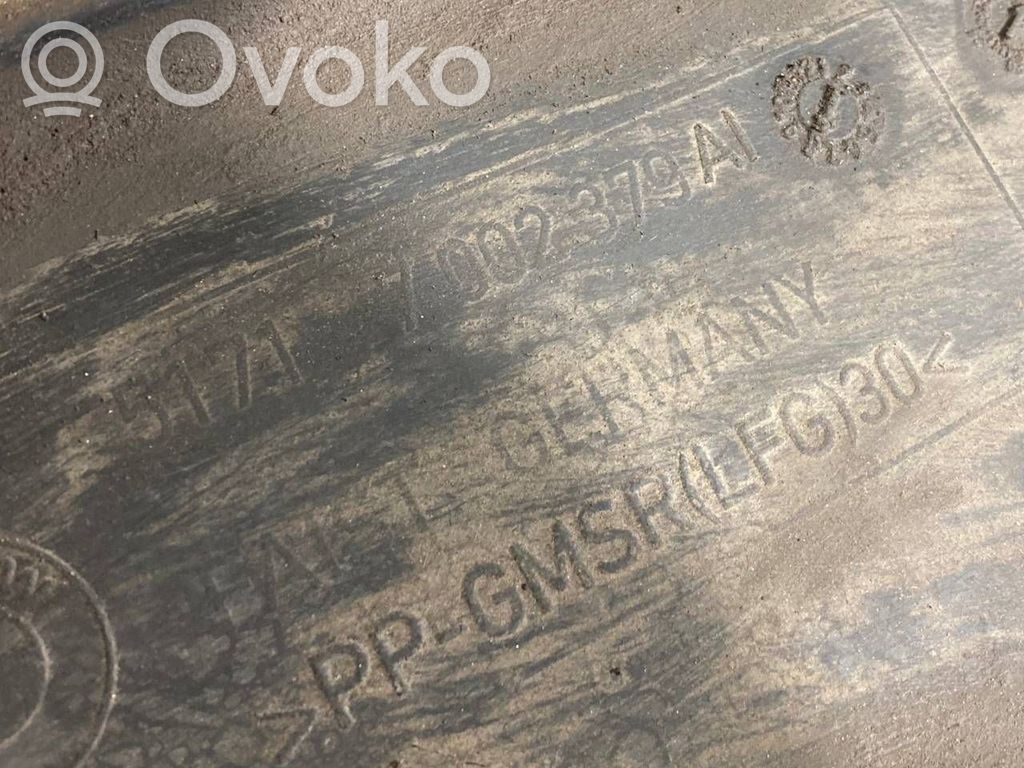 Dzinēja apakšas aizsargs (priekšdaļā)