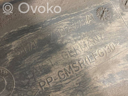 Dzinēja apakšas aizsargs (priekšdaļā)