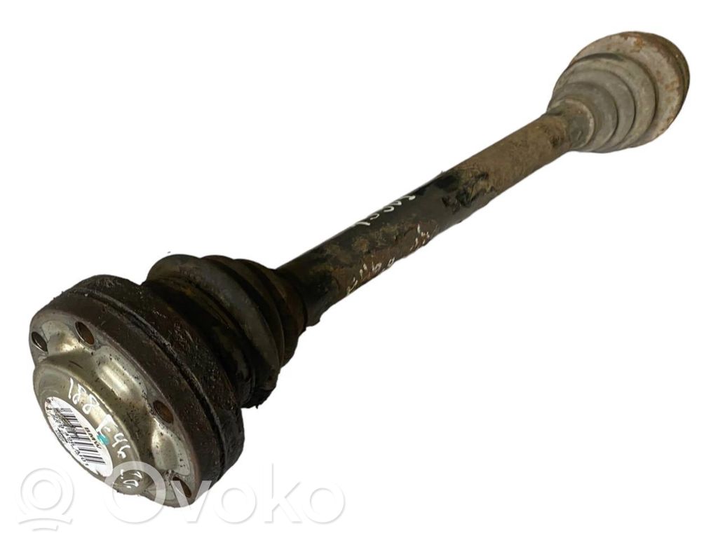 Aizmugurējā pusass