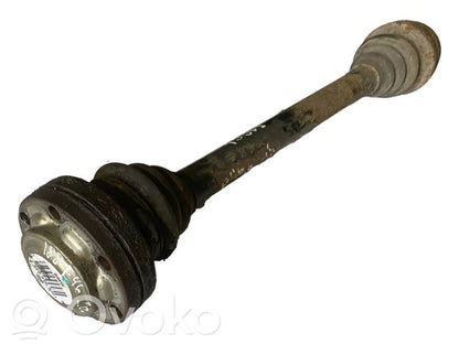 Aizmugurējā pusass