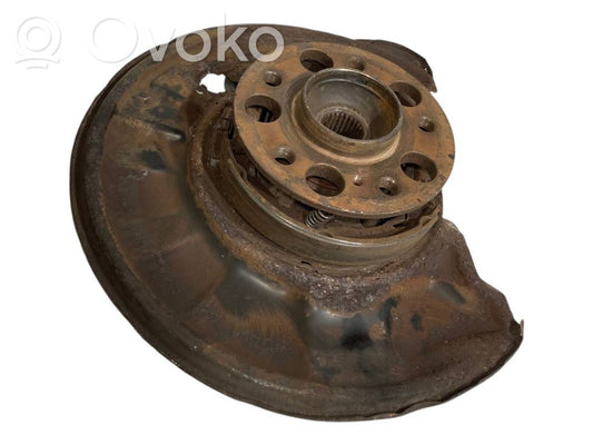 Rear wheel hub shaft joint (stupica, capfa)