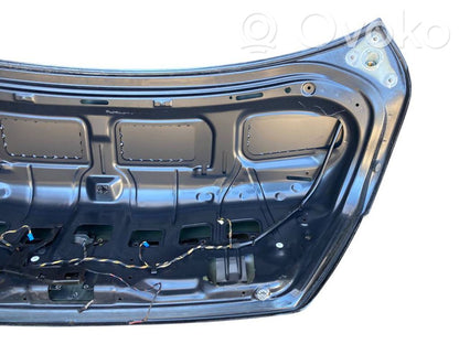 Задняя крышка (багажник)